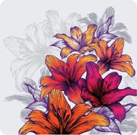 Background with blooming lilies hand-drawing Vector illustration