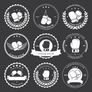 Boxing labels and badges set Vector