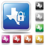 Texas Security Icon