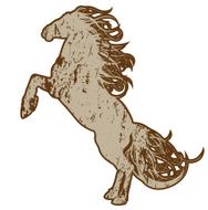 Grunge Wild Horse