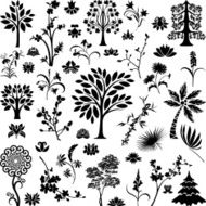 Trees and plants N17