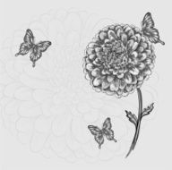 beautiful black-and-white flower with butterflies N3