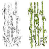 Bamboo N45