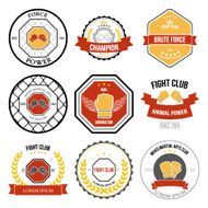 Set of Mixed Martial Arts labels badges