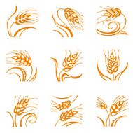 Decorative wheat