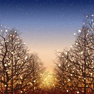 Winter background Illumination and sunset