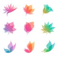 Pastel nature Elements for design