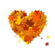 Autumn love heart shape leaf