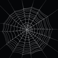 Cobwed (vector)