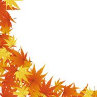 Fall N17
