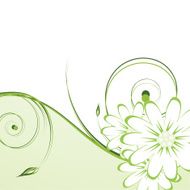abstract floral background N261