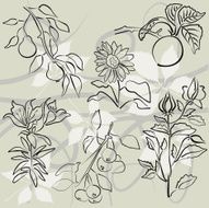Plants set IX