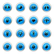 Blue Icons - Human Organs