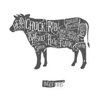Vintage hand drawn butcher cuts of beef scheme
