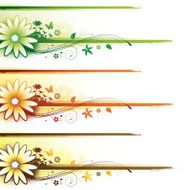 Grunge flower frames