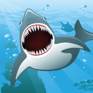 Life Aquatic - Shark