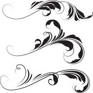 swirl N65