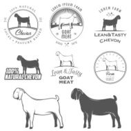 Set of boer goat labels badges and design elements