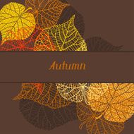 Background greeting card with stylized autumn leaves N4