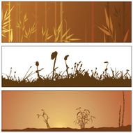 Fall Nature Elements N3