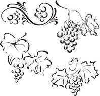 Decorative grape N2