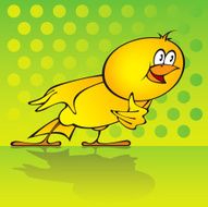 Bird N56
