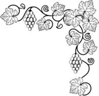 grape vine design element N2