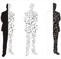Human Body N11