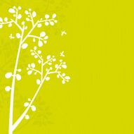 Branches N13