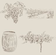 winery N5