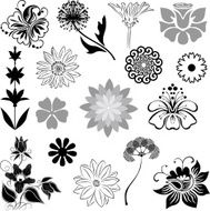 Variable flowers