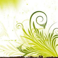 Floral vector background N24