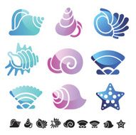 Set of shells