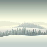 Winter coniferous forest in the morning N2