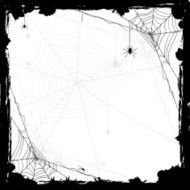Halloween background with spiders