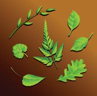 Green leaf set