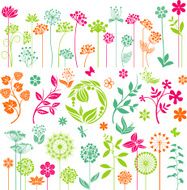 Colorful flowers collection