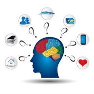 Brains - Illustration N2