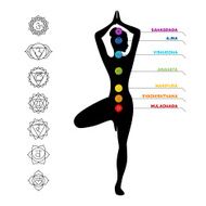 Color chakra scheme on white background N3