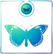 Duochrome Butterfly 05