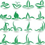 Leave and grass