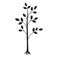black tree silhouette isolated on white background