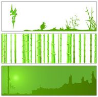 green bamboo N5