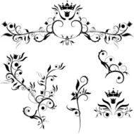 decorative plants