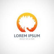 Eco orange tree logo template abstract icon