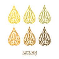 Autumn vector leaves N2