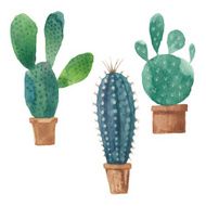 Cactus isolated on white background Vector watercolor hand drawn illustration N2