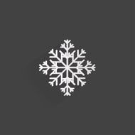 snowflake icon N30