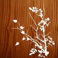 Cherry blossoms on oak