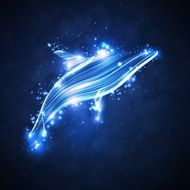 Neon dolphin N4